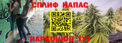 амф Заволжье