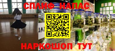 амф Заволжье