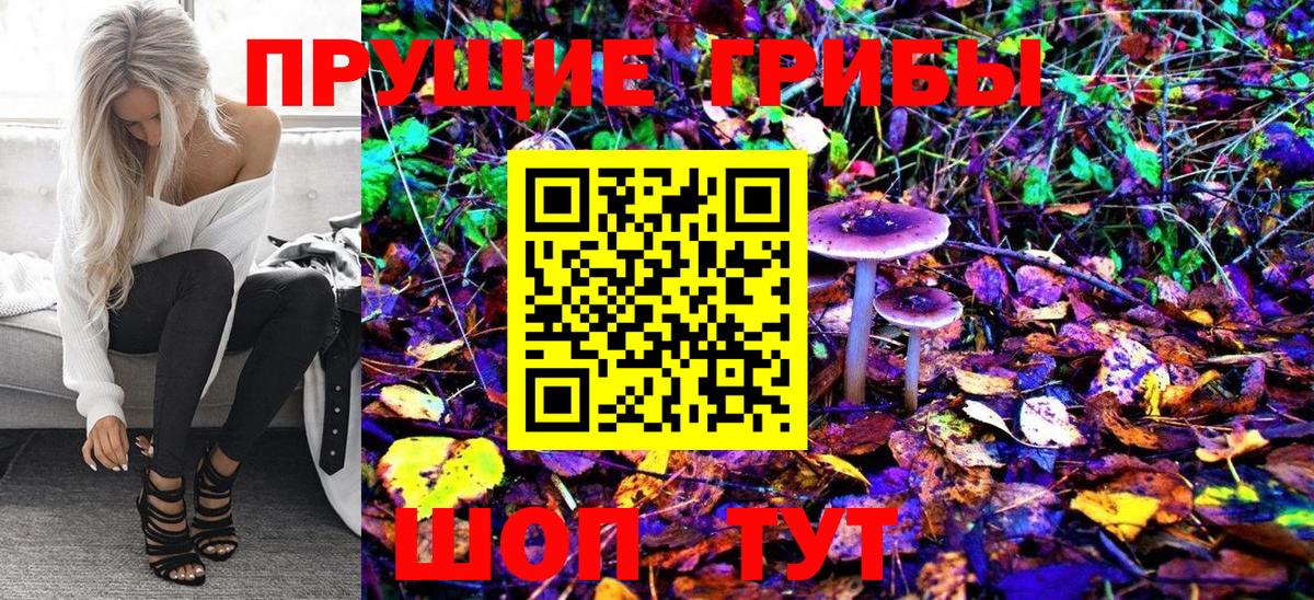 Галлюциногенные грибы Magic Shrooms Лесозаводск