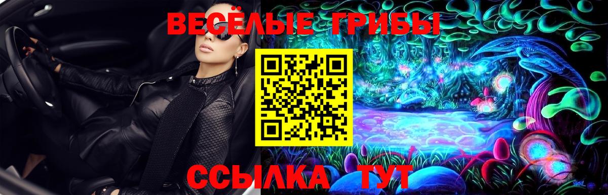 закладка  Галлюциногенные грибы GOLDEN TEACHER  Вход с VPN  Лесозаводск  Галлюциногенные грибы MAGIC MUSHROOMS 